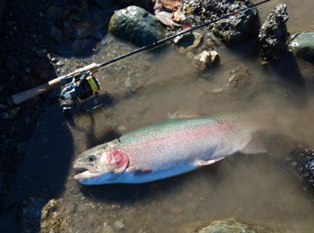 なんとか二桁 ～天竜川ルアーフライ専用区～